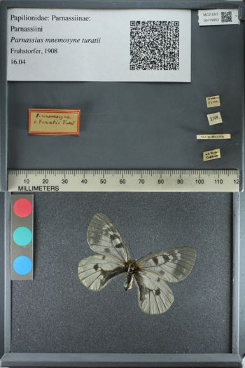 Media type: image;   Entomology 179953